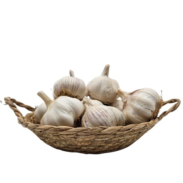 Luk bijeli 1 kg
